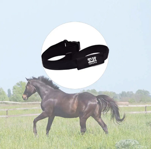 Cinturón de Ritmo Cardíaco para Caballos con Logotipo Personalizado, Sensor de Ritmo Cardíaco para Carreras de Caballos, Accesorios de Monitoreo, Correa de Ritmo Cardíaco - Product Image 5