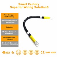 Kabel Pengisian Daya EV Industri 3 Fase 32A, Kabel Tembaga Tegangan Tinggi, Harness Kabel Nylon Ultra Fleksibel untuk Komputer dan Sepeda Motor
