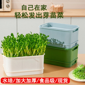 Bac à semis rectangulaire en plastique avec trou de drainage pour boîte de plantation de bureau, culture hydroponique, germination de légumes, pousses de haricots - Product Image 5