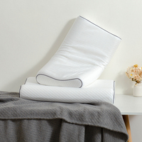 US Standard Queen King Size Polyester Out Cover Mold Oreiller de contour en mousse à mémoire de forme avec rouleau