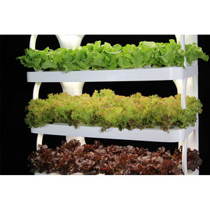 Agriculture Garden Cultivation Commercial irrigation hydroponics equipment For Indoor Plant Growing - Product Image 3