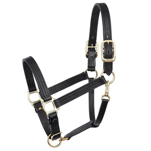 Cabestro de Cuero de Lujo para Caballo, Ajustable, de Doble Hebilla, Resistente, Personalizado al por Mayor - Product Image 2