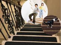 Tapis d'escalier rayés écologiques antidérapants, tapis de marche durables pour l'intérieur, pour animaux domestiques et enfants