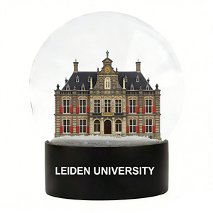 Globe à neige personnalisé en résine Pays-Bas Nouvelle Église de <span class=keywords><strong>Delft</strong></span> pour souvenirs religieux, cadeaux de voyage et objets de collection - Product Image 5