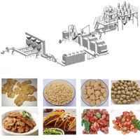Extrudeuse à double vis automatique certifiée CE 150-1000 kg/h avec moteur Siemens pour ligne de production de viande de soja à alimentation électrique/gaz/huile