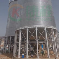 Silos in Acciaio per Stoccaggio di Mais, Grano e Cereali con Macchina Integrata per Pulizia ed Essiccazione