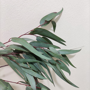Plante verte simulée feuilles <span class=keywords><strong>d</strong></span>'eucalyptus Spray mariage <span class=keywords><strong>d</strong></span>écoration de la maison Faux feuilles Latex Real Touch feuilles <span class=keywords><strong>d</strong></span>'eucalyptus artificielles - Product Image 4