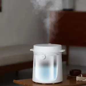 2023 New Product 304 Stainless Steel Japanese Steam Humidifier 3L 6L Water Drop Humidifier 2 In 1