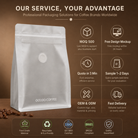 25g Custom Printed With Valve and Zipper 100g 250g 500g 1kg Flat Bottom Stand up Kraft Paper Coffee Bean Packaging Bag