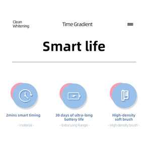 ชุดแปรงสีฟันไฟฟ้าแบบชาร์จไฟได้4ชิ้นแปรงสีฟันไฟฟ้าระบบเสียงโซนิกสำหรับทำความสะอาดฟันผู้ใหญ่ - Product Image 6