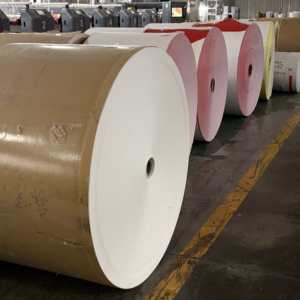 Rouleau de papier enduit de PE en gros pour usine, rouleau jumbo, taille personnalisée, matière première pour la fabrication de produits alimentaires en papier - Product Image 6