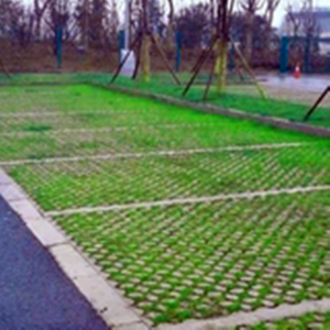 Géogrille <span class=keywords><strong>en</strong></span> plastique HDPE écologique pour aménagement paysager, parking, <span class=keywords><strong>jardin</strong></span>, résistant à haute pression, renforcé, pour gazon - Product Image 3