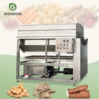Fruitwasser, gember- en bladgroentewasser, aardappelwas- en schilmachine, avocado- en mangowasser en -schilmachine met borstel