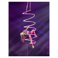 Accessoire de danse aérienne en spirale professionnel pour les spectacles sur scène et les studios d'acrobatie