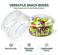 Boîte jetable en plastique PET pour fruits et légumes avec couvercle ventilé, capacité 500-750g, 240 pièces/carton, pour usage agricole