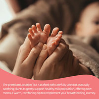 Tisane végétalienne aux herbes pour la lactation, favorisant l'allaitement naturel et l'augmentation du lait maternel, en sachets pour les soins post-partum des femmes