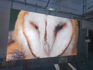 Pantalla LED COB de paso pequeño para interiores P1.25mm a todo color para publicidad con la última y más potente tecnología de pantallas LED - Product Image 5