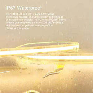 COB outdoor <b>LED</b> light bar IP67 waterproof 2700K-6500K DC24V flexible <b>rope</b> light bar remote control/application control dimmable - Product Image 3