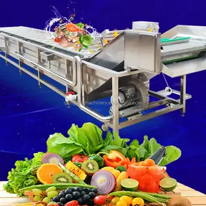 商用胡萝卜土豆水果超声波臭氧清洗机卷心菜蔬菜清洗机