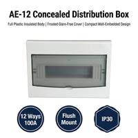 Boîtier de distribution dissimulé série AE 12 voies, panneau transparent givré, entièrement isolé en plastique, IP30, pour intérieur, basse tension