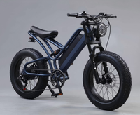 Batería de Litio OEM ODM de 10 Ah para Bicicleta Eléctrica, 36 V, 48 V, 250 W, 350 W, 500 W