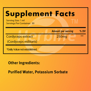 Venta al por Mayor OEM - Personalizable - Extracto de Hongo Cordyceps 250mg por Porción - Suplemento Líquido de Doble Extracto - Apoyo Energético - Product Image 2