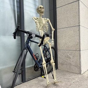 Oferta 2026: Esqueleto Humano Gigante Realista de 160 cm (60 Pulgadas/10 pies) para Decoración de Jardín, Ideal para Halloween - Product Image 4