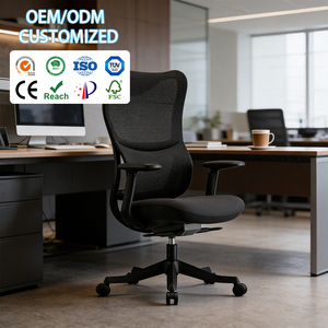 Chaise de <span class=keywords><strong>bureau</strong></span> personnalisée avec un design luxueux, confortable, entièrement en mesh, <span class=keywords><strong>ergonomique</strong></span>, Sillas De Oficina Equipment - Product Image 1