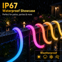 Bande lumineuse flexible en silicone RGB DC5V 160 LED/m 10W/m IP67 étanche pour la décoration paysagère extérieure