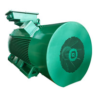 Motor Trifásico de CA de Alta Tensión Y2-5004-4 1250KW 6KV IP55 IC411 1488rpm