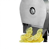 Nouvelle machine électrique à couper et à trancher l'ail, la noix de coco et les légumes, pour usage domestique, moteur 220V