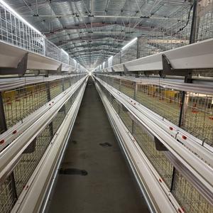 Équipement de cage à <span class=keywords><strong>poules</strong></span> <span class=keywords><strong>pondeuses</strong></span> de type H de haute qualité avec acier galvanisé à chaud, <span class=keywords><strong>abri</strong></span> et enclos multifonctionnels - Product Image 1