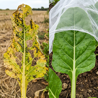 Filet anti-insectes en PE blanc pour la protection des cultures en serre et la culture de légumes, tailles personnalisées disponibles