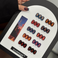 Kit de vernis à ongles gel œil de chat super brillant, 24 et 10 couleurs/ensemble, brun rouge, carte de présentation en acrylique, vernis à ongles gel à faire tremper, kit de vernis à ongles gel