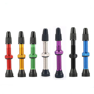 Pièces <span class=keywords><strong>de</strong></span> vélo <span class=keywords><strong>de</strong></span> haute qualité en gros FR10 11 12 34mm--60mm <span class=keywords><strong>Valve</strong></span> tubeless française en alliage d'aluminium Bouchons <span class=keywords><strong>de</strong></span> <span class=keywords><strong>valve</strong></span> <span class=keywords><strong>de</strong></span> pneu OEM/ODM Vélo - Product Image 6