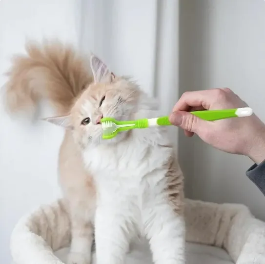 3-seitige Haustier Zahnbürste Hund Kunststoff Zahnbürste Entfernen von Mundgeruch Zahnstein Reinigung Mund Haustier Zahnpflege Katze Reinigung Mund