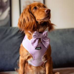 Ensemble laisse et harnais pour chien avec logo personnalisé, gilet réglable anti-traction pour animaux de compagnie avec nœud papillon et porte-sac à déjections, pour chiens de petite et moyenne taille - Product Image 5