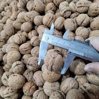 Noix en gros de Chine : Demi-noix séchées en vrac, de qualité alimentaire, pour la pâtisserie, les petits-déjeuners et les collations saines