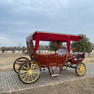 Charrette de luxe ornée tirée par des chevaux, couleur personnalisable, idéale pour les cérémonies de mariage en extérieur et les projets de tourisme panoramique - Product Image 4