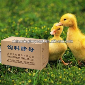 Tối ưu hóa men thức ăn dinh dưỡng chăn nuôi: Sử dụng men thức ăn chăn nuôi vịt cao cấp của chúng tôi - Product Image 5