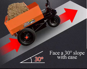 Triciclo eléctrico de ingeniería de 48V 800/1000W, carro de mano, sitio de construcción, tolva de cenizas empujada a mano, camión de estiércol agrícola - Product Image 6