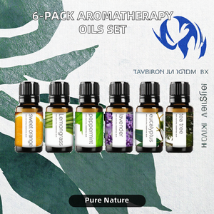 Juego de regalo de aceite esencial de alta calidad con logotipo privado Aromaterapia 6*10ml Aceite esencial de árbol de té puro/<span class=keywords><strong>lavanda</strong></span>/eucalipto/menta - Product Image 2