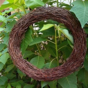Guirnalda de Vid Seca Natural de Vietnam, Guirnalda de Ratán para Decoración Navideña de Puertas, Fondos de Boda, Base Floral, Decoración Rústica para el Hogar - Product Image 1