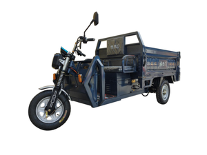 Best Selling 1000W Three-Wheel Tricycle with Open Body Large Space 200-300kg Payload & 50-70km <b>Range</b> - Product Image 3