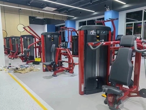 Équipement de fitness commercial <span class=keywords><strong>pour</strong></span> salle de sport, machine à <span class=keywords><strong>triceps</strong></span> <span class=keywords><strong>pour</strong></span> l'entraînement des bras, entraînement musculaire, presse à <span class=keywords><strong>triceps</strong></span> <span class=keywords><strong>pour</strong></span> la musculation - Product Image 5