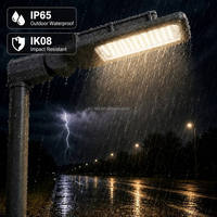Lampadaires de jardin électriques en aluminium moulé sous pression IK08 AC 120-277V LED 50 Watts avec 5 ans de garantie