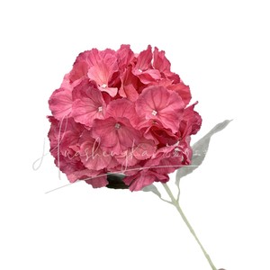 Bouquet de fleurs artificielles d'hortensias en soie, haute simulation, pour décoration de mariage, rose, bleu, violet, blanc - Product Image 5