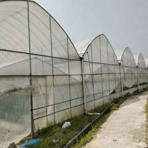 Película de polietileno de alta calidad, estructura Simple y económica, <span class=keywords><strong>casa</strong></span> verde - Product Image 3