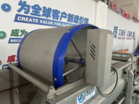 Gebogen vorm reinigingsmachine Automatische fruit- en groente-was- en schilmachine met luchtbellen