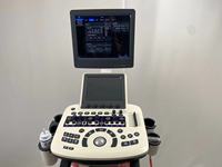 Equipo de Ultrasonido Doppler Color 4D HD para Diagnóstico Clínico, Montado en Carro, para Uso Humano y Veterinario